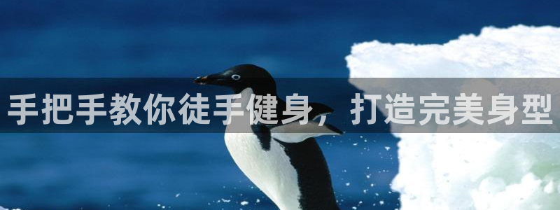 意昂2招商