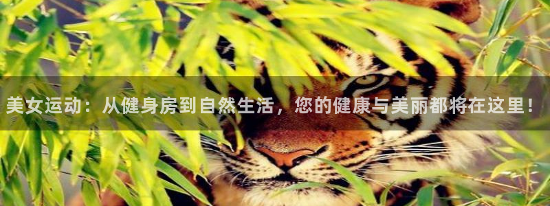 意昂2官方网站