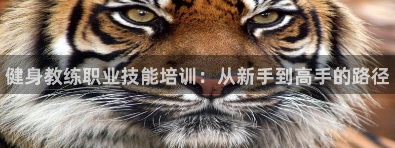 意昂2招商