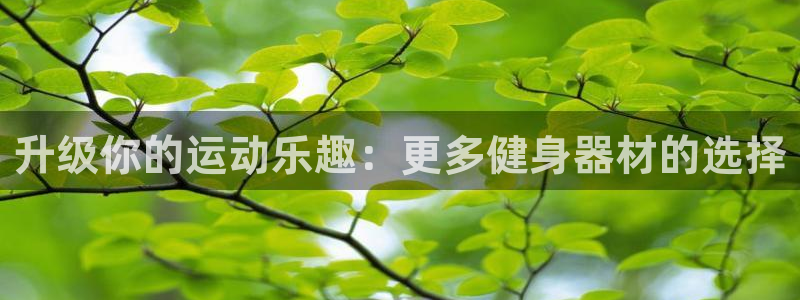 意昂2平台